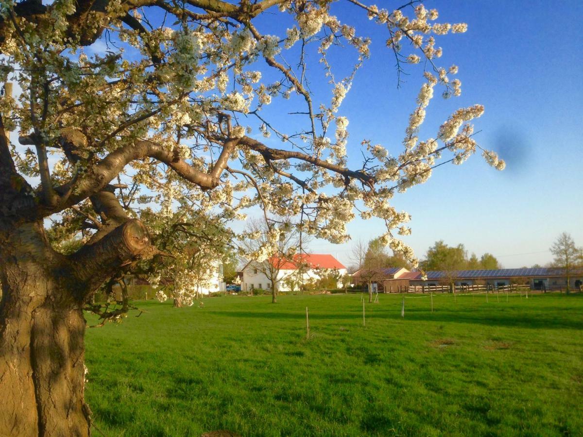 Ferienwohnung Zweinig 01 Luaran gambar